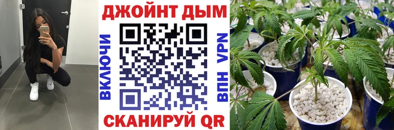 Бошки марихуана SATIVA & INDICA Кореновск